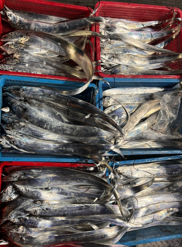 제주 데이지호(9.77t)의 조황일지 이미지 - 0