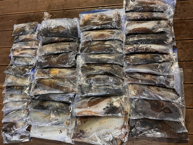 제주 데이지호(9.77t)의 조황일지 이미지 - 8