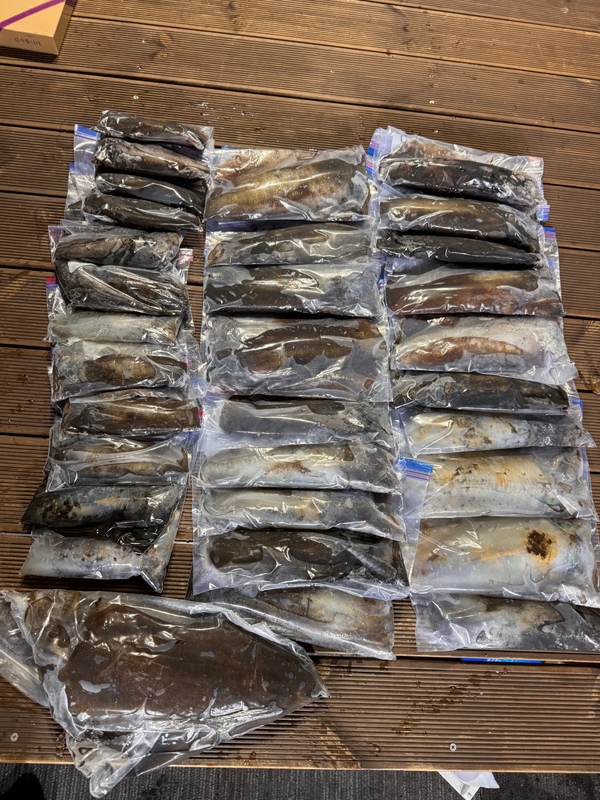 제주 데이지호(9.77t)의 조황일지 이미지 - 5