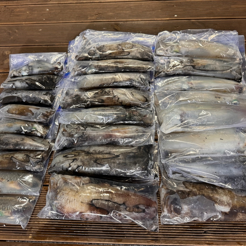 제주 데이지호(9.77t)의 조황일지 이미지 - 5