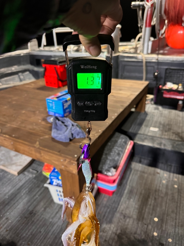 제주 데이지호(9.77t)의 조황일지 이미지 - 5