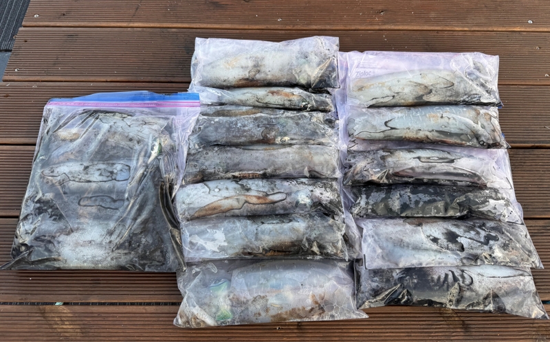 제주 데이지호(9.77t)의 조황일지 이미지 - 9