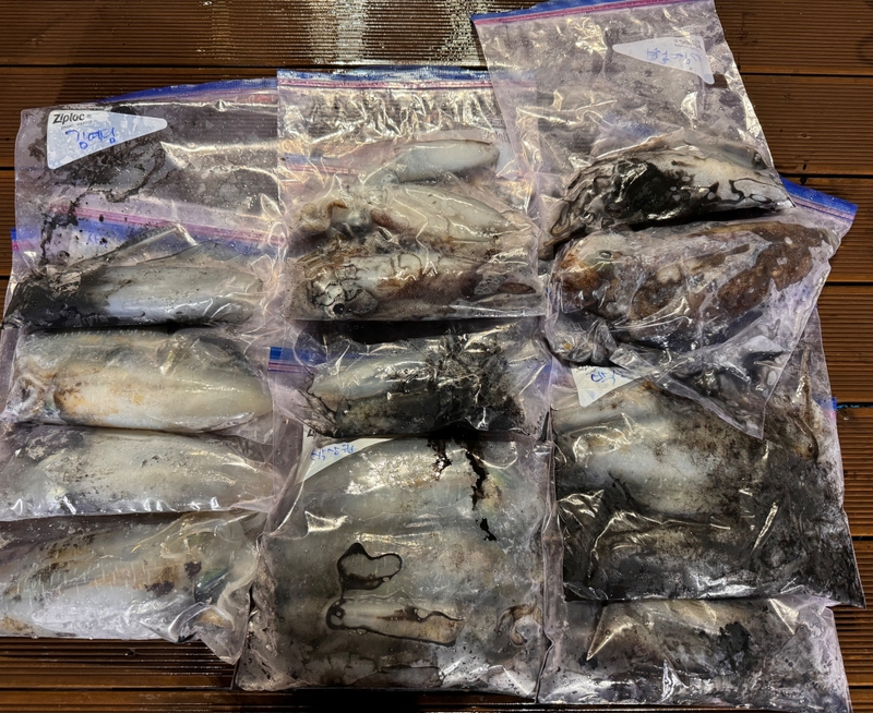 제주 데이지호(9.77t)의 조황일지 이미지 - 6