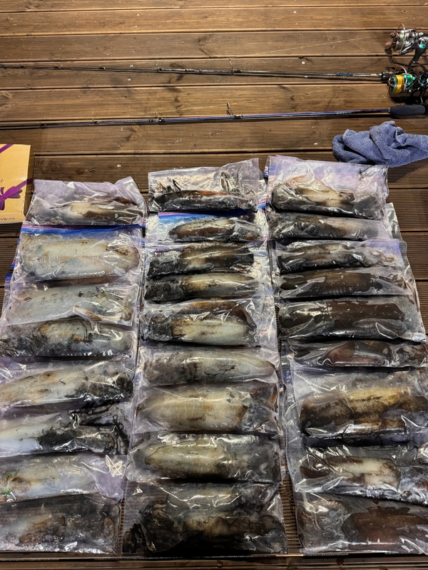 제주 데이지호(9.77t)의 조황일지 이미지 - 3