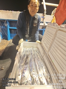 !!!제주 백호피싱!!! 9월 19일 야간갈치 조황 선상낚시로 잡은 물고기 조황