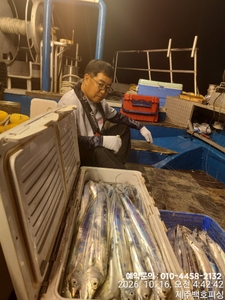 !!!제주 백호피싱!!! 10월 15일 야간갈치 조황 선상낚시로 잡은 물고기 조황