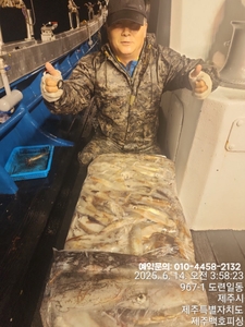 !!! 제주 백호피싱!!! 6월 13일 한치 조황 선상낚시로 잡은 물고기 조황