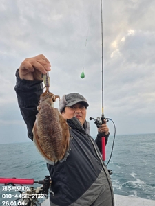 !!!제주 백호피싱!!! 26년 1월 4일 갑오징어 조황 선상낚시로 잡은 물고기 조황