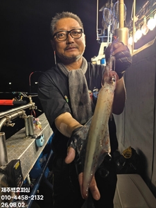 !!!제주 백호피싱!!! 8월 1일 한치 조황 선상낚시로 잡은 물고기 조황
