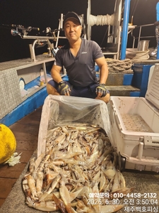 !!!제주 백호피싱!!! 6월29일 한치 조황 선상낚시로 잡은 물고기 조황