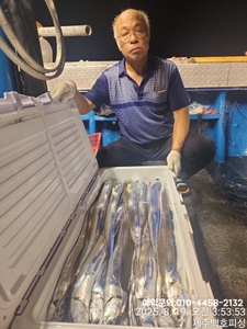 !!!!제주 백호피싱!!! 8월 18일 야간갈치 조황 선상낚시로 잡은 물고기 조황