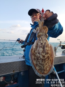 !!!제주 백호피싱!!! 26년 1월 14일 갑오징어 조황 선상낚시로 잡은 물고기 조황