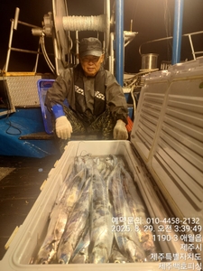!!!!제주 백호피싱!!! 8월 28일 야간갈치 조황 선상낚시로 잡은 물고기 조황