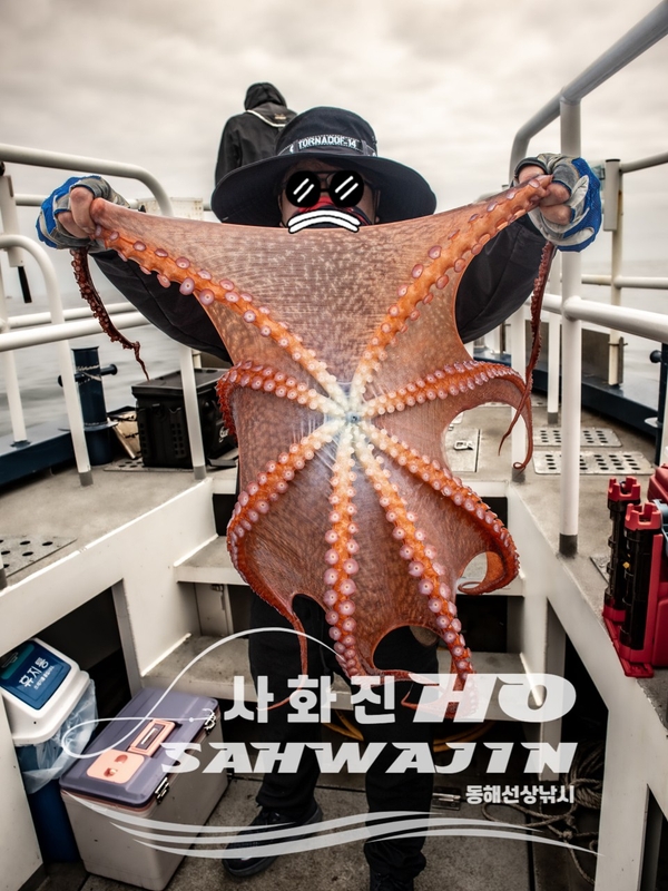 강릉 사화진호의 조황일지 이미지 - 11