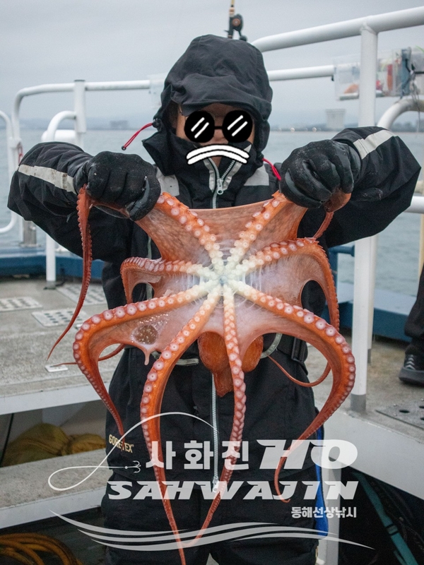강릉 사화진호의 조황일지 이미지 - 3