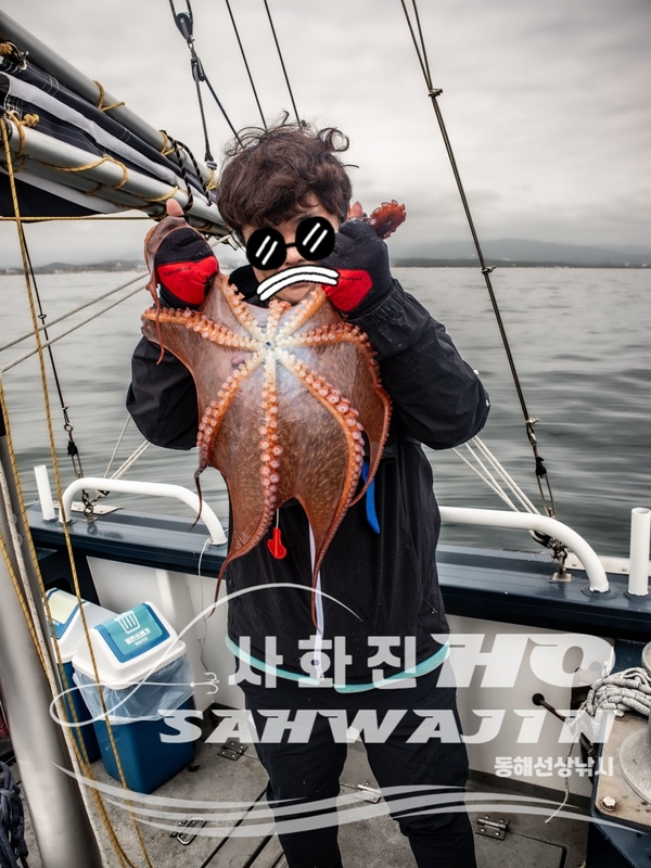 강릉 사화진호의 조황일지 이미지 - 12