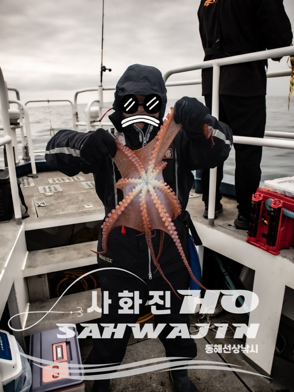 강릉 사화진호의 조황일지 이미지 - 6