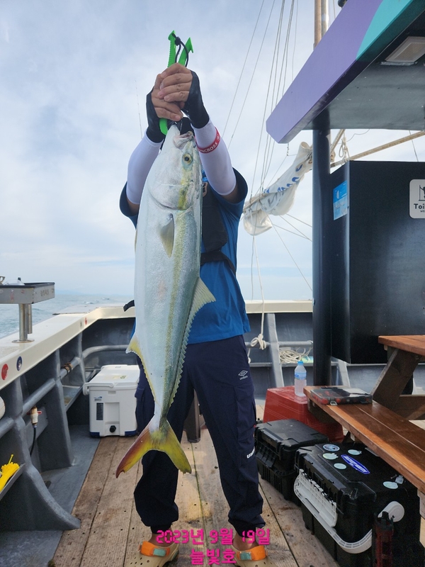 완도늘빛호의 조황일지 이미지 - 5