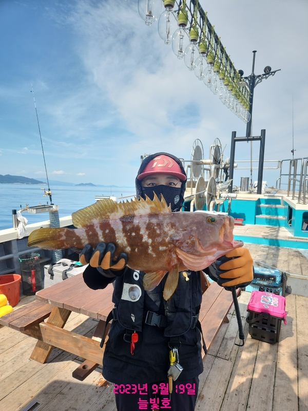 완도늘빛호의 조황일지 이미지 - 4