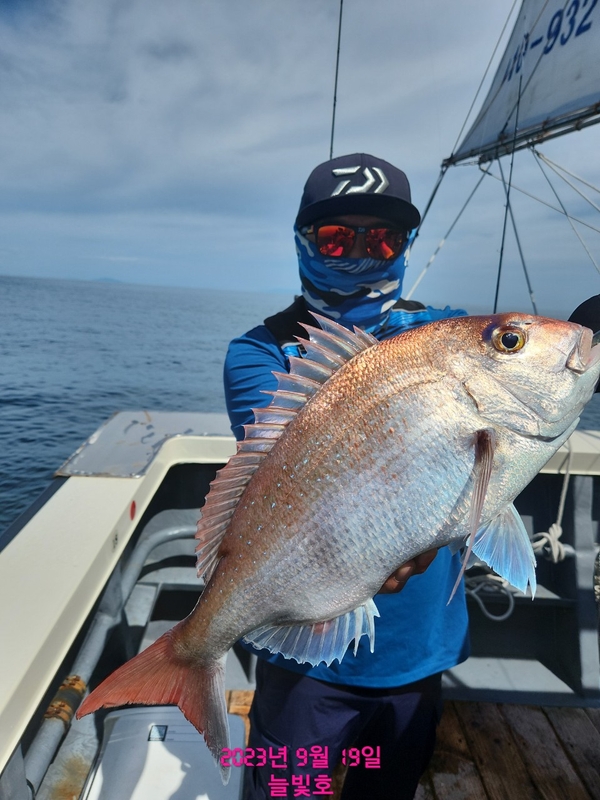 완도늘빛호의 조황일지 이미지 - 2