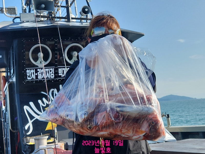 완도늘빛호의 조황일지 이미지 - 1