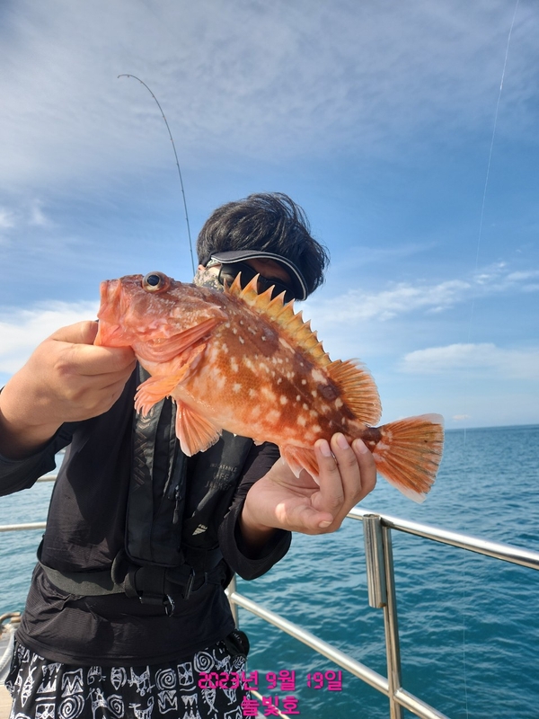 완도늘빛호의 조황일지 이미지 - 7