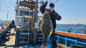 9자 광어? 선상낚시로 잡은 물고기 조황