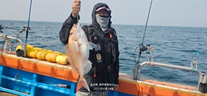다잡았습니다. 선상낚시로 잡은 물고기 조황