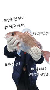 인생 첫 낚시 선상낚시로 잡은 물고기 조황