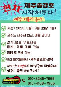 한치 시즌 시작헴수다 선상낚시로 잡은 물고기 조황