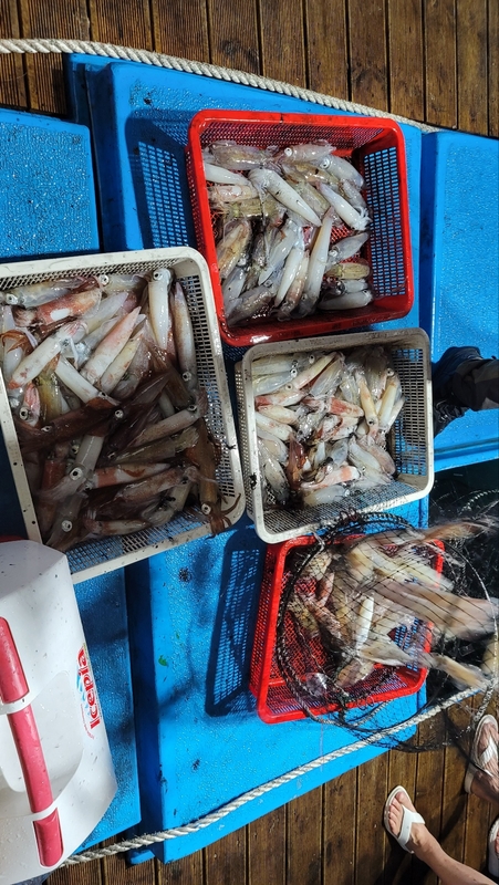 해당 선사를 대표하는 이미지