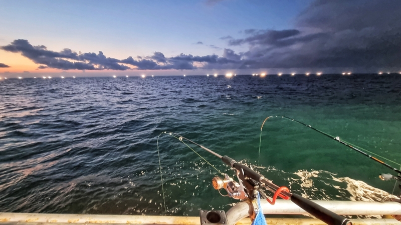 해당 선사를 대표하는 이미지