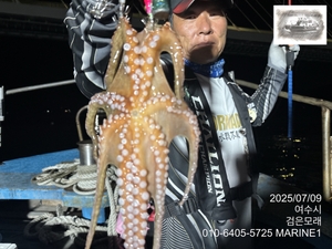 25년 금어기 이후 첫 돌문어 조황 선상낚시로 잡은 물고기 조황