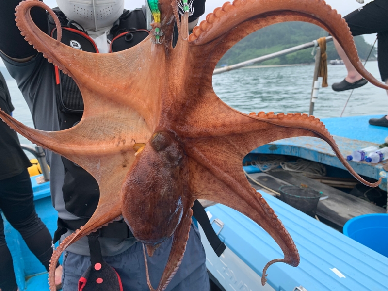 검은모래의 조황일지 이미지 - 1