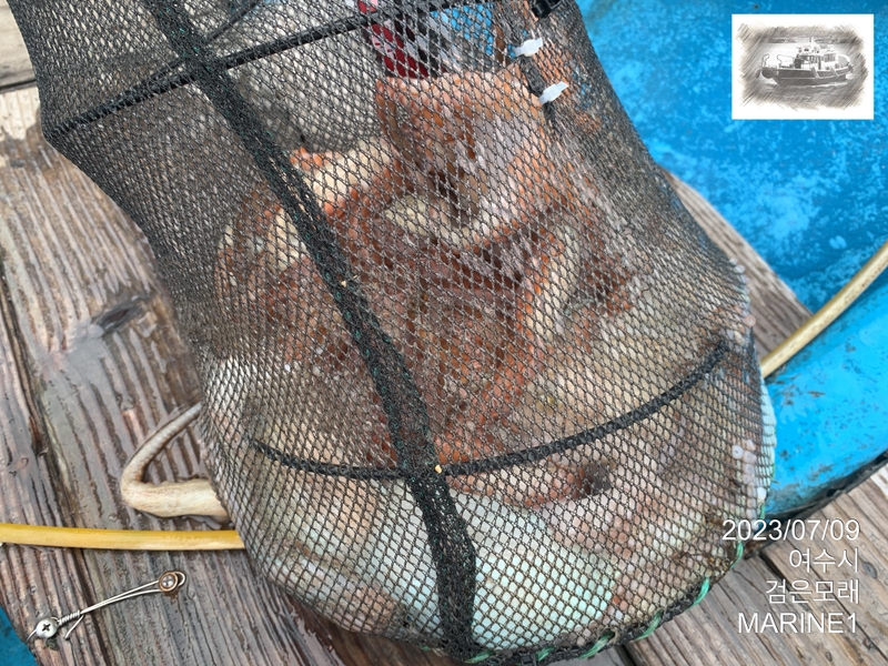 검은모래의 조황일지 이미지 - 8