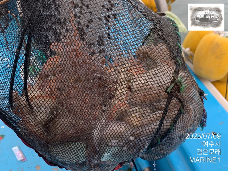 검은모래의 조황일지 이미지 - 7