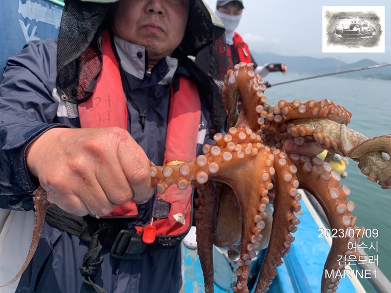 검은모래의 조황일지 이미지 - 3