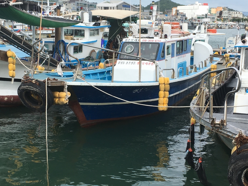 해당 선사를 대표하는 이미지