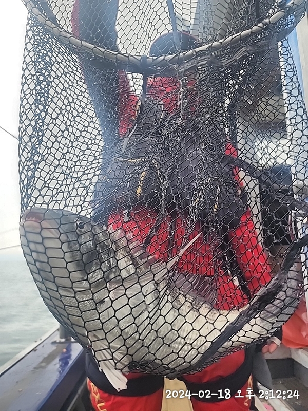 뉴패미리호의 조황일지 이미지 - 4