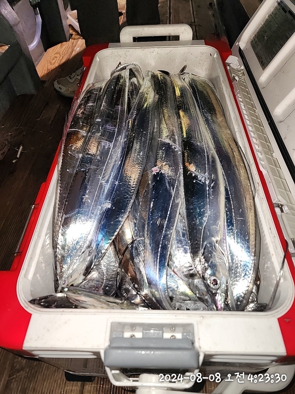 뉴패미리호의 조황일지 이미지 - 6