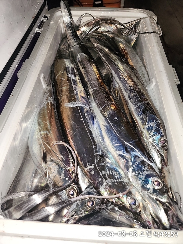 뉴패미리호의 조황일지 이미지 - 8