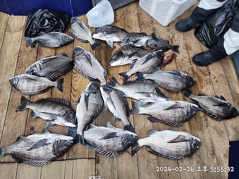 뉴패미리호의 조황일지 이미지 - 0