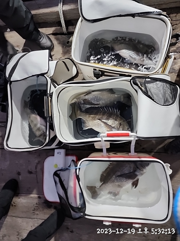 뉴패미리호의 조황일지 이미지 - 1