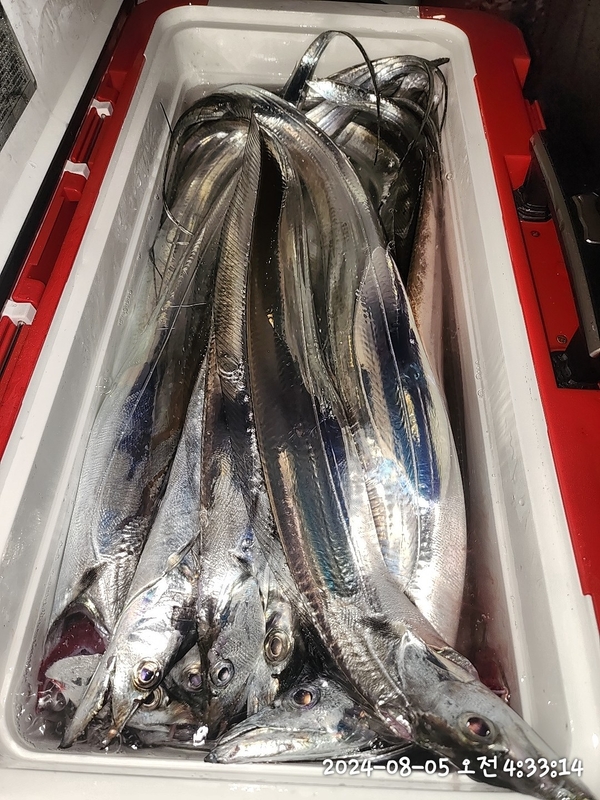 뉴패미리호의 조황일지 이미지 - 1