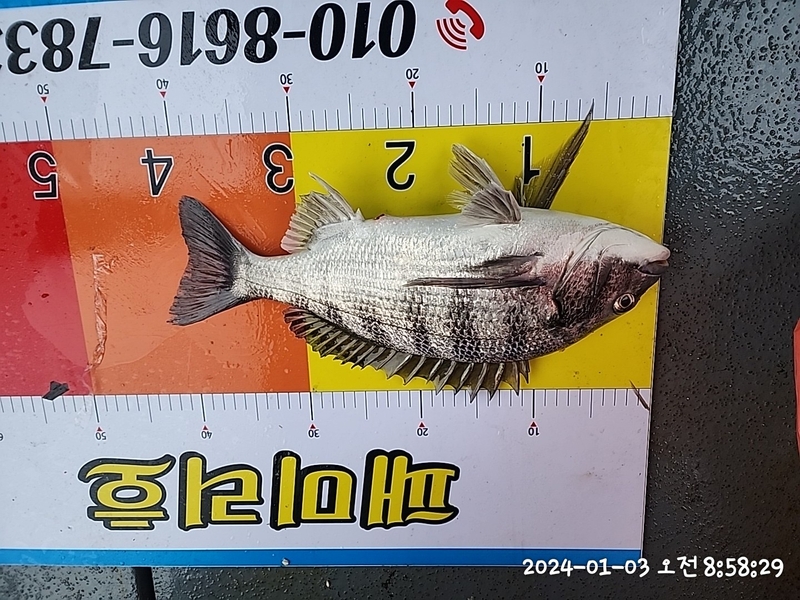 뉴패미리호의 조황일지 이미지 - 3