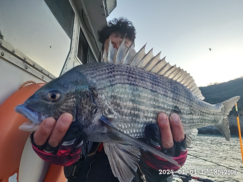 뉴패미리호의 조황일지 이미지 - 4