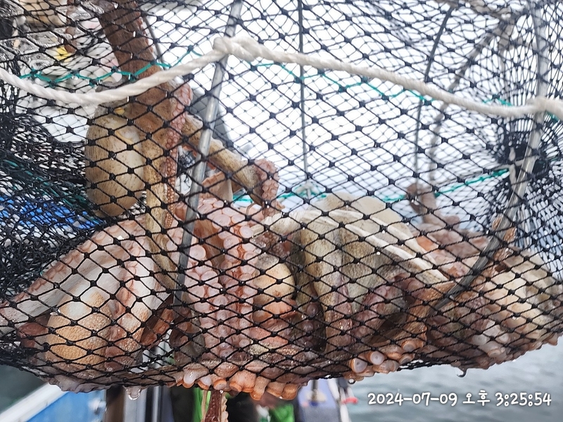 뉴패미리호의 조황일지 이미지 - 4