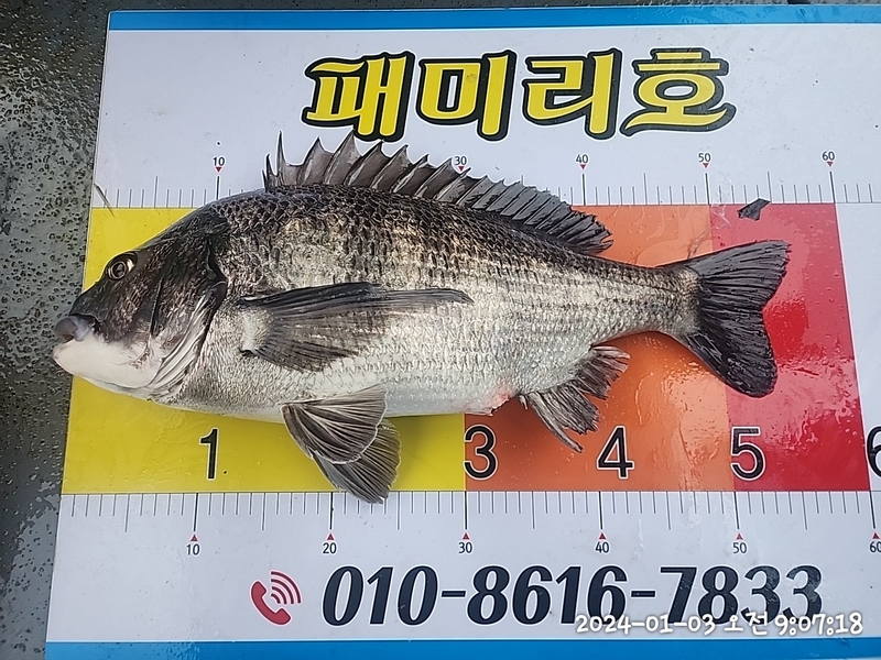 뉴패미리호의 조황일지 이미지 - 1