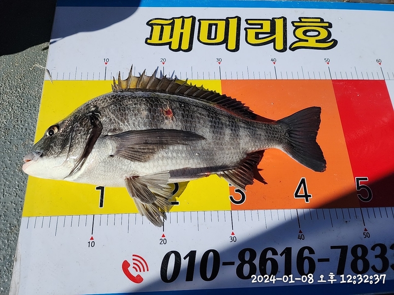 뉴패미리호의 조황일지 이미지 - 9