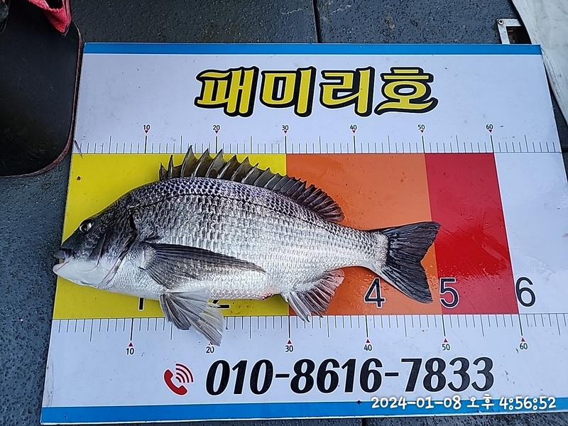 뉴패미리호의 조황일지 이미지 - 7